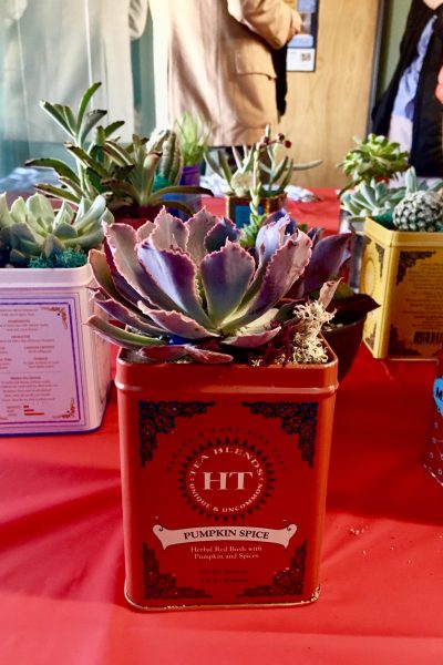 Each tenant organization was presented with a small gift as a token of our appreciation. The plants were provided by Wildflowers in Congress Park.